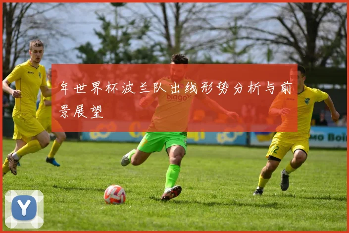 年世界杯波兰队出线形势分析与前景展望