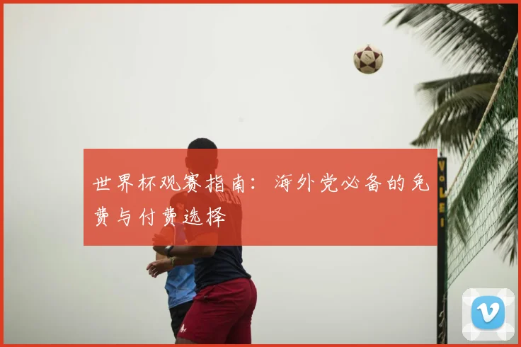 世界杯观赛指南：海外党必备的免费与付费选择