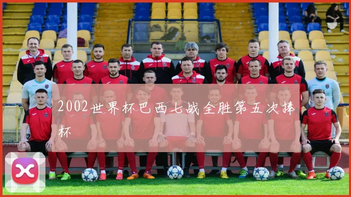 2002世界杯巴西七战全胜第五次捧杯