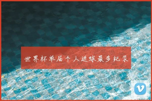 世界杯单届个人进球最多纪录