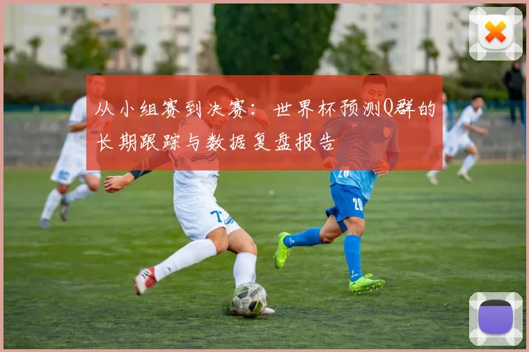 从小组赛到决赛：世界杯预测Q群的长期跟踪与数据复盘报告