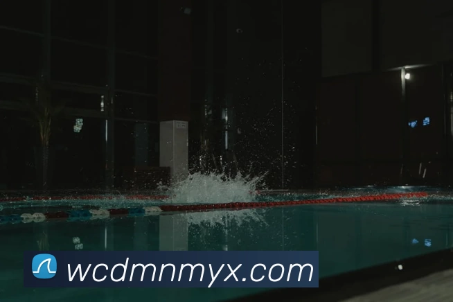 多媒体互动体验